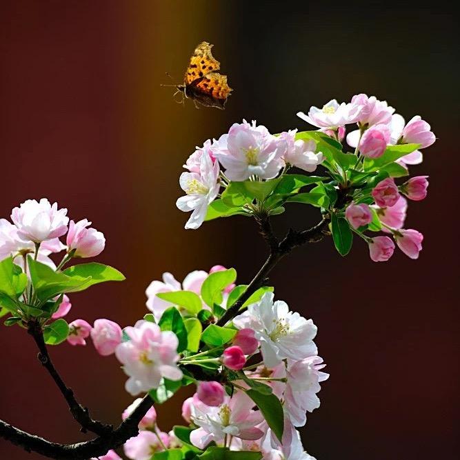 知行合一（悟道中）