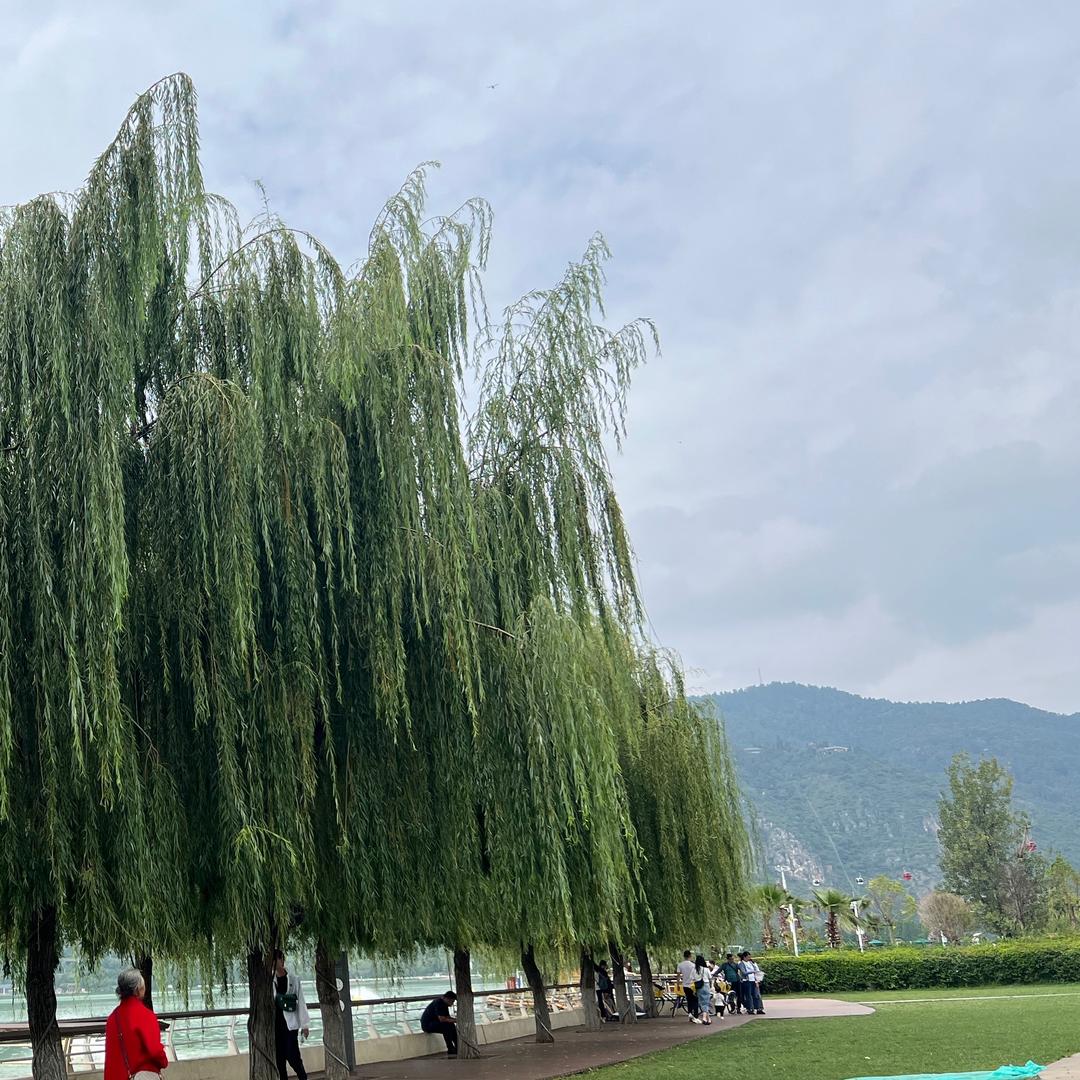 鷲曙