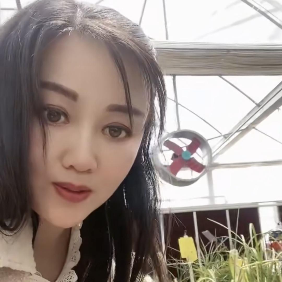 黄赛兰花直播间一号