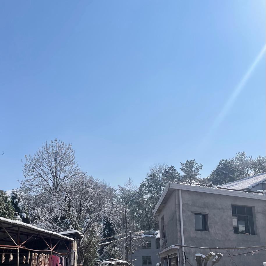 Z丶