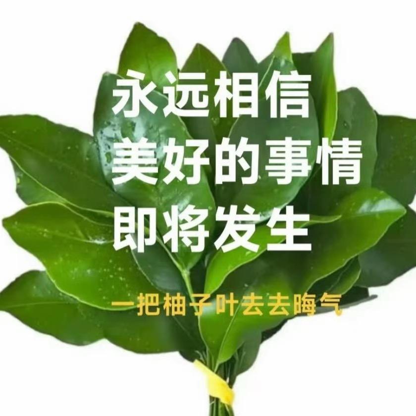 Linglingkang