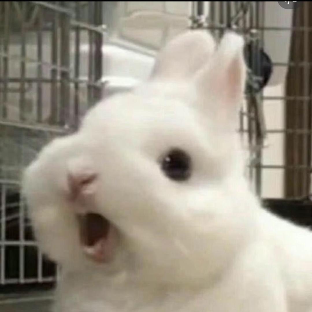 𝙅𝙖𝙮.