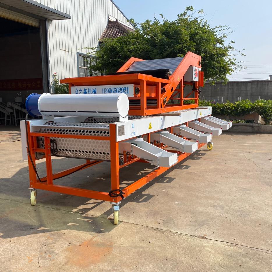 邳州众之鑫大蒜分级机