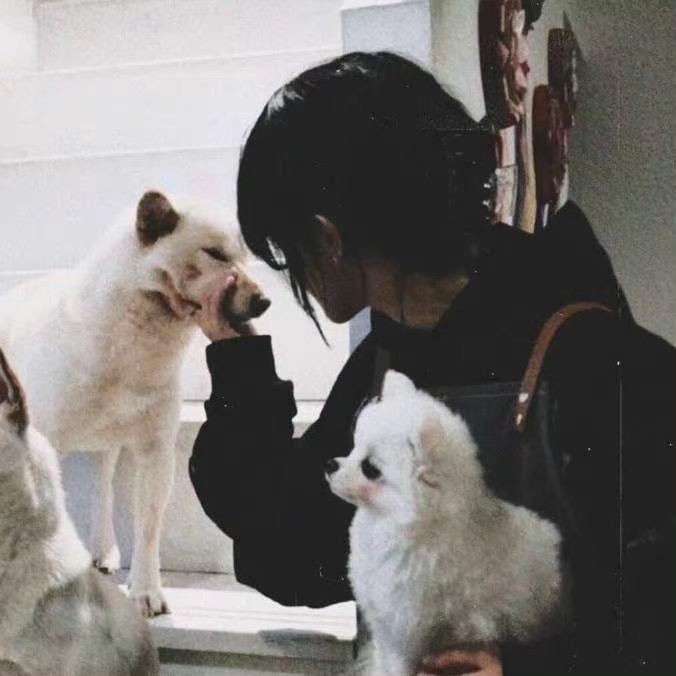 贪吃鬼.