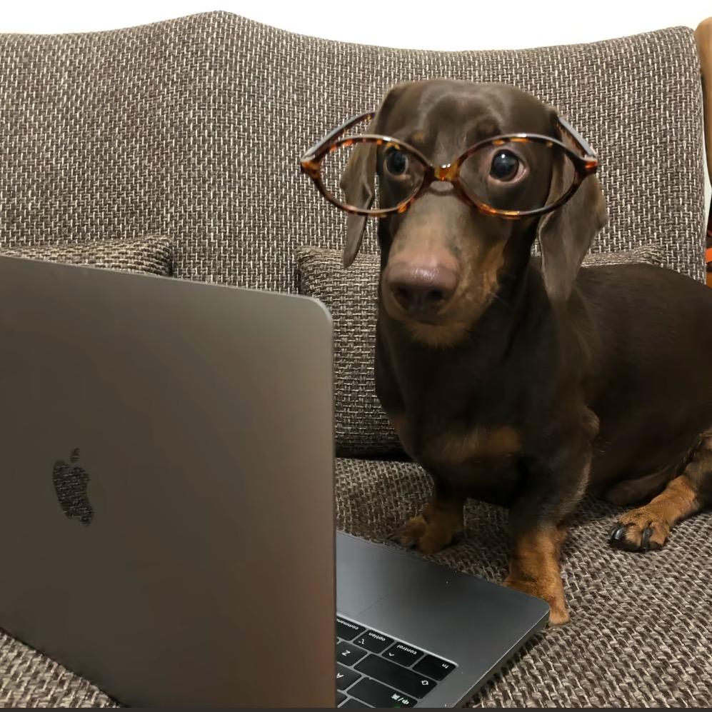 桃桃🍑（好物分享）