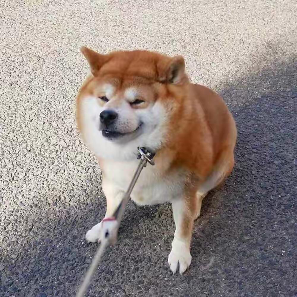 猛踹瘸子那条好腿