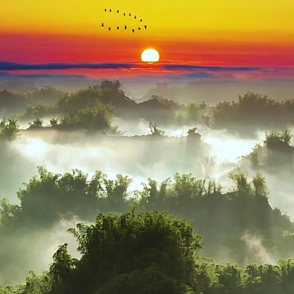 缅山岭@2号店（小付）