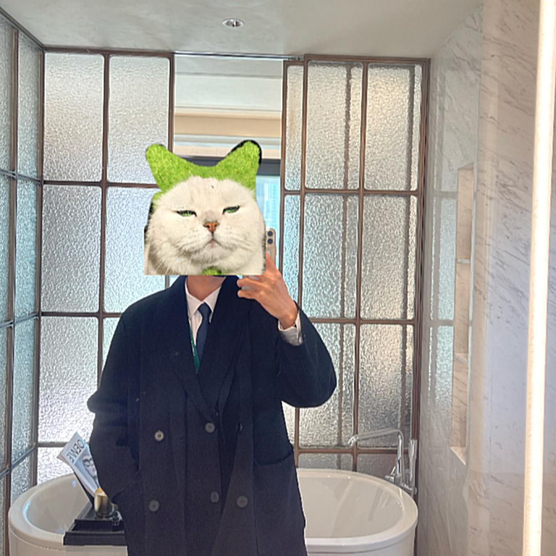 公爵猫
