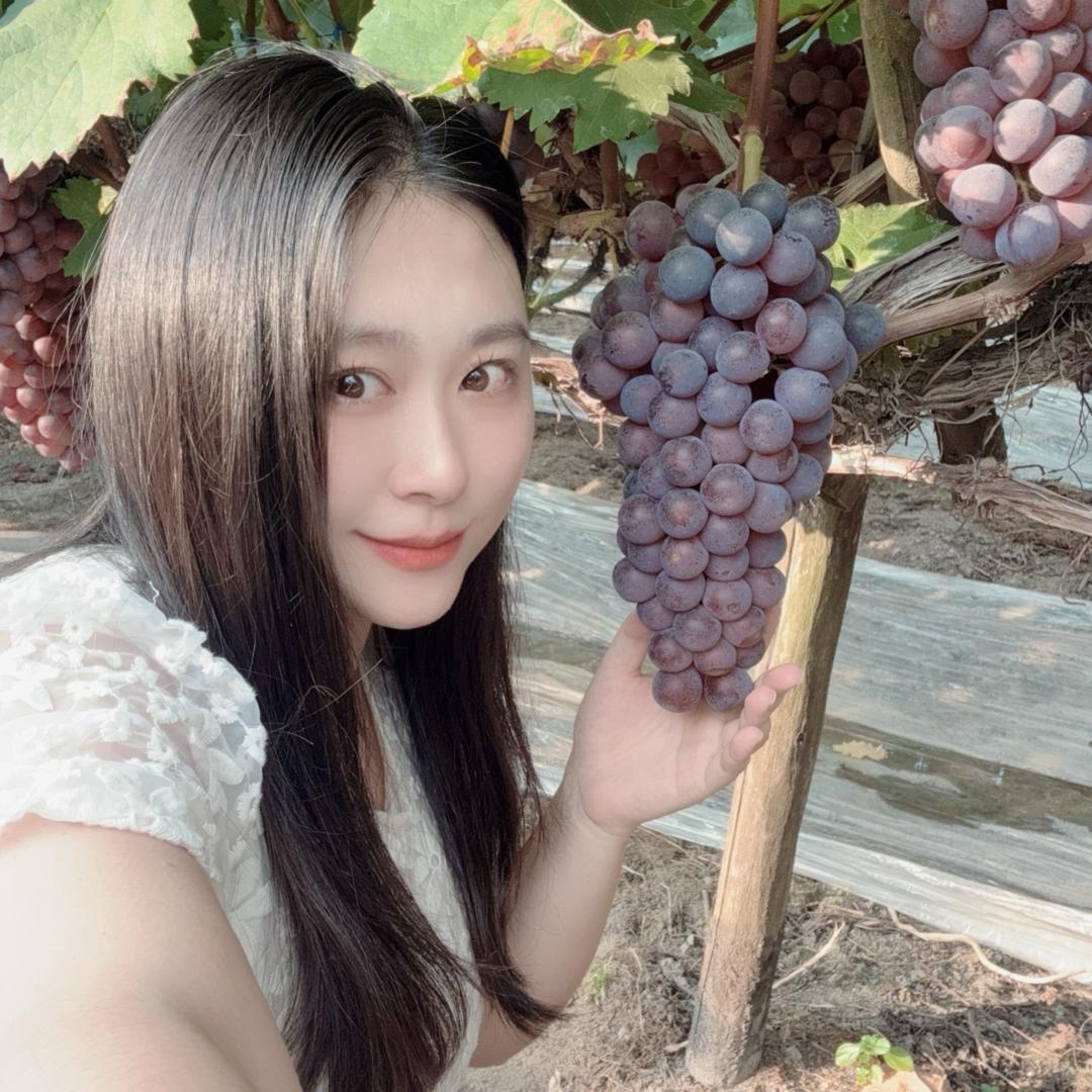 不吃大饼
