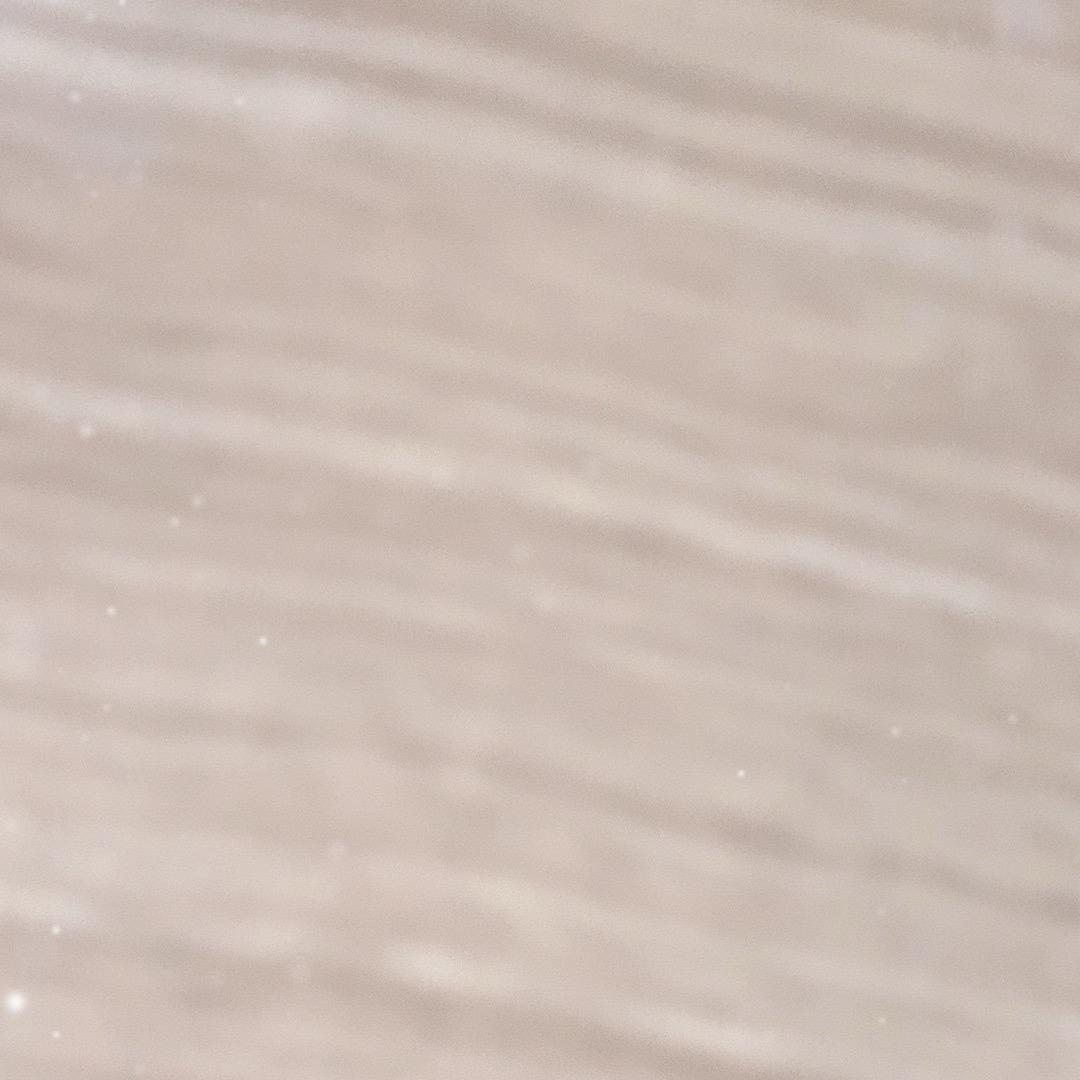 赶庙会