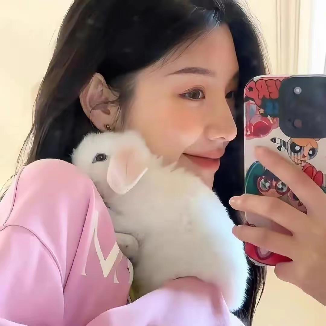戴戴心选好物