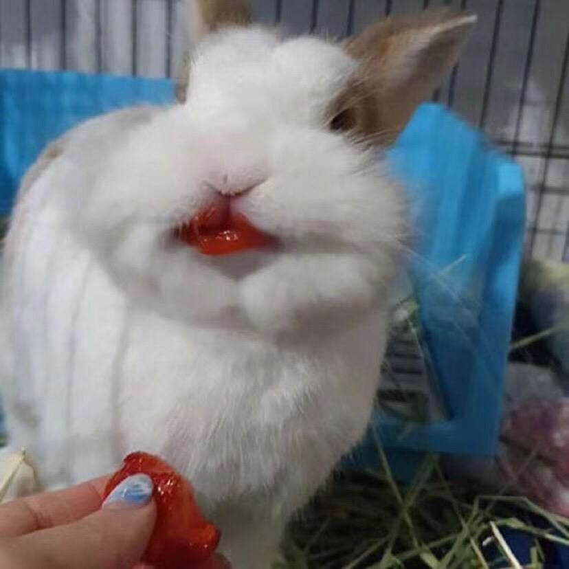 Ssssssa