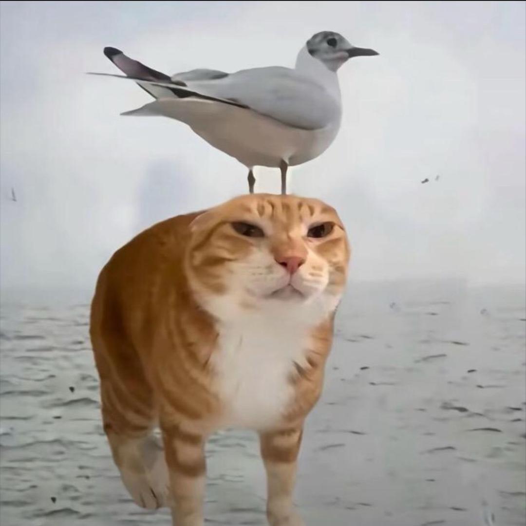 小宇大王ovo