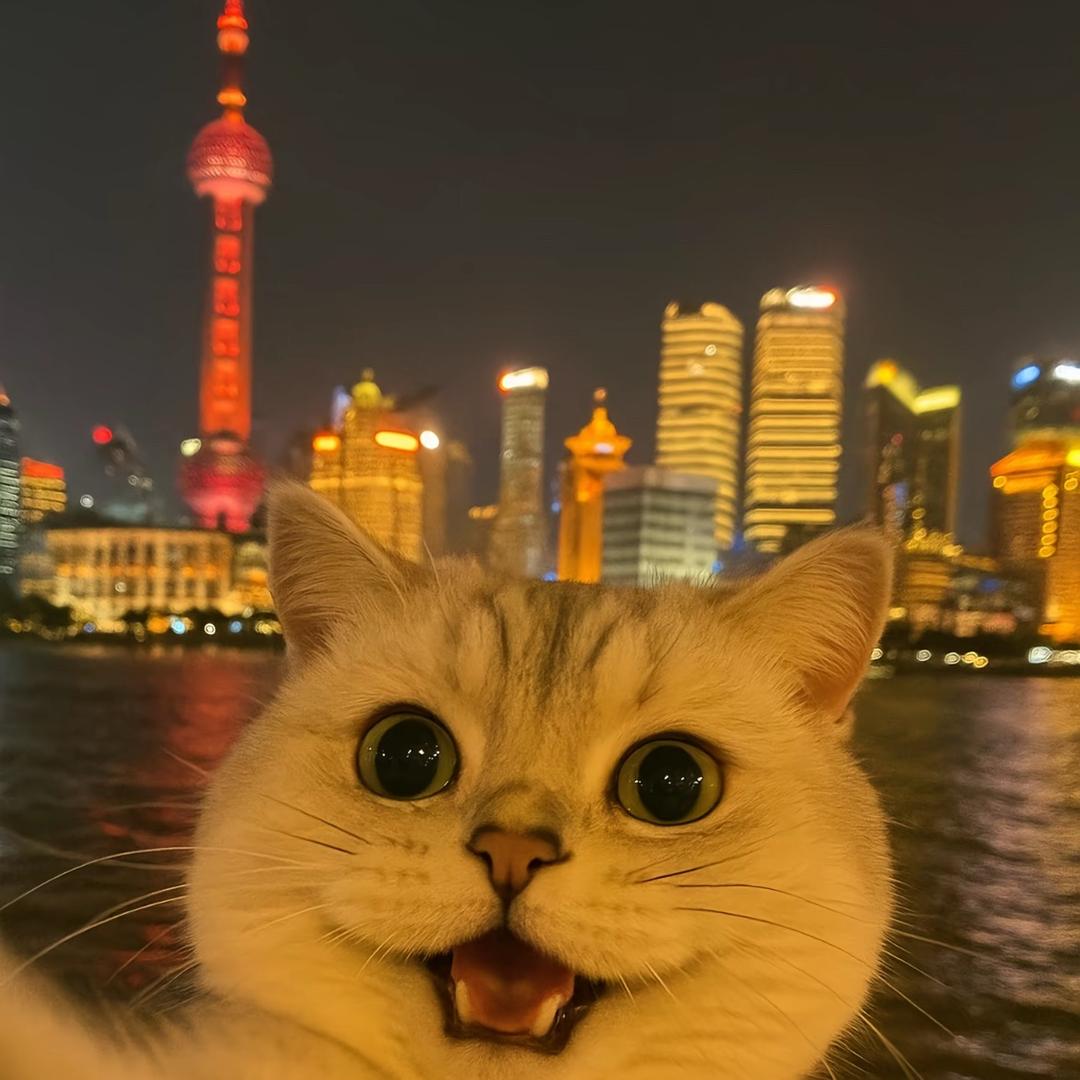 🐎慢慢