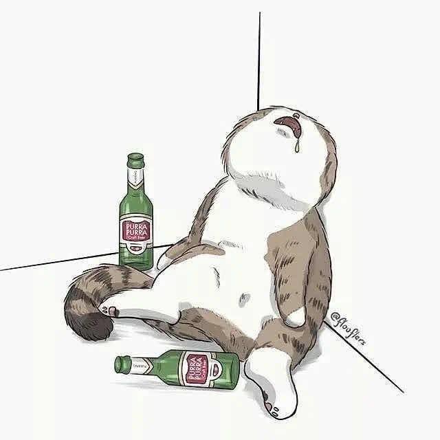 汪汪卷
