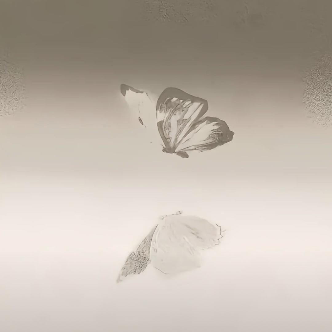 傻傻
