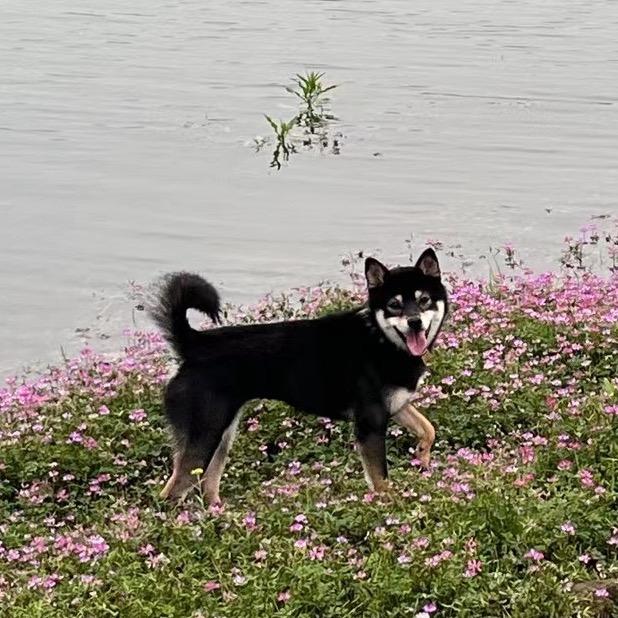 发财致富
