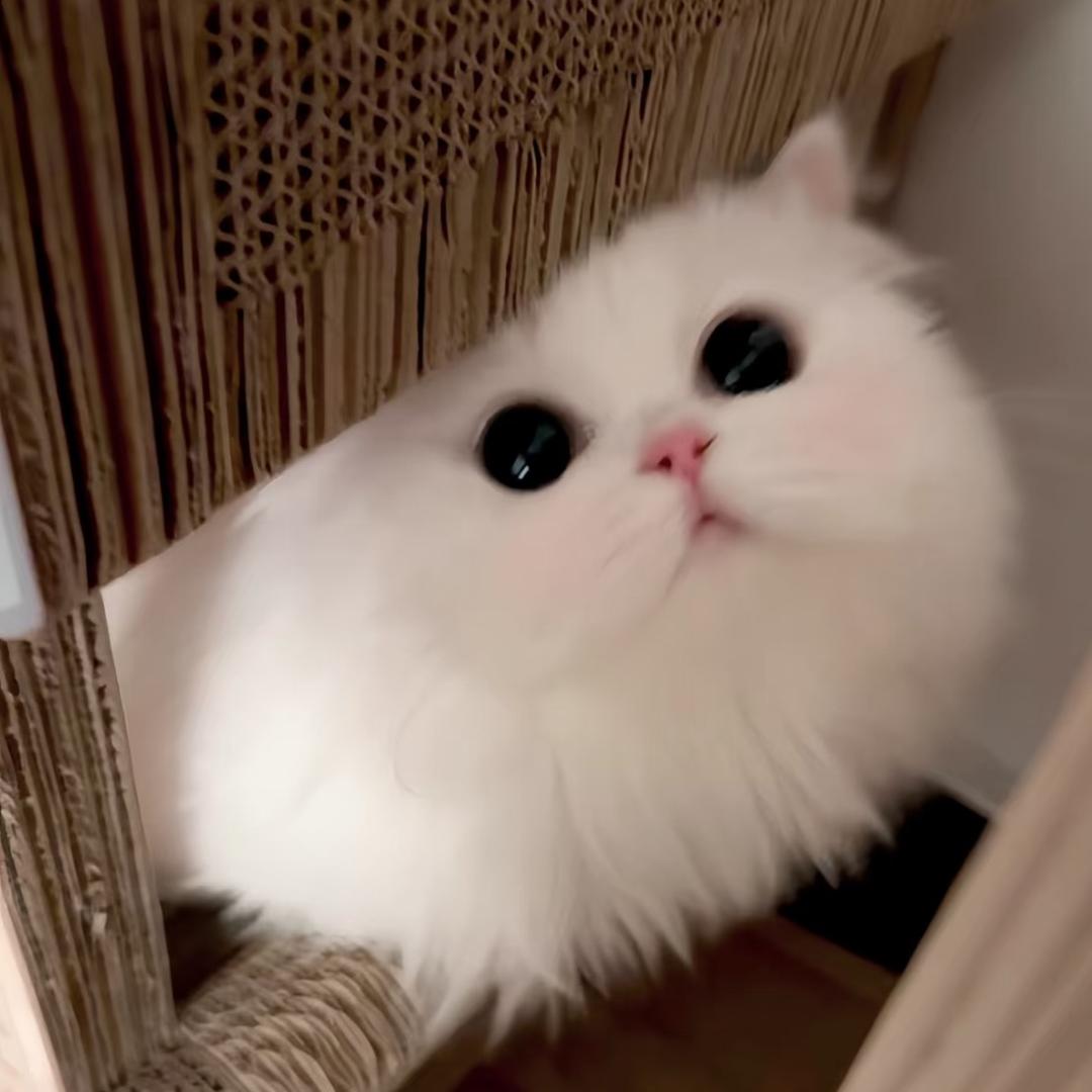 发会儿呆也没事