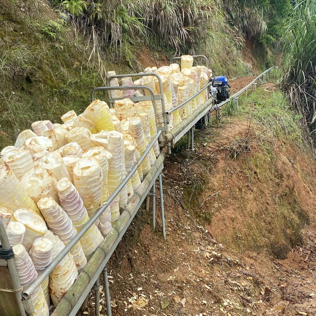 单轨运输车厂家（乡村阿荣）