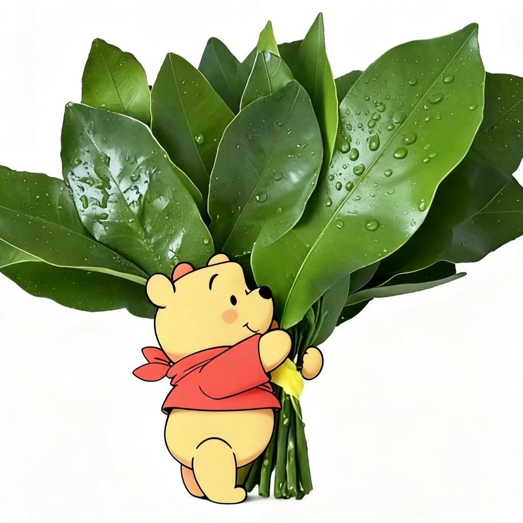 张公子🐽