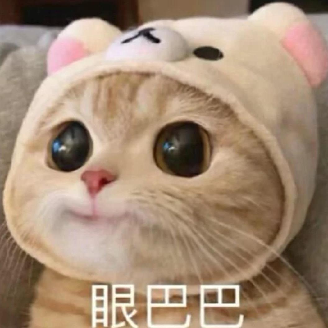 破败喵王
