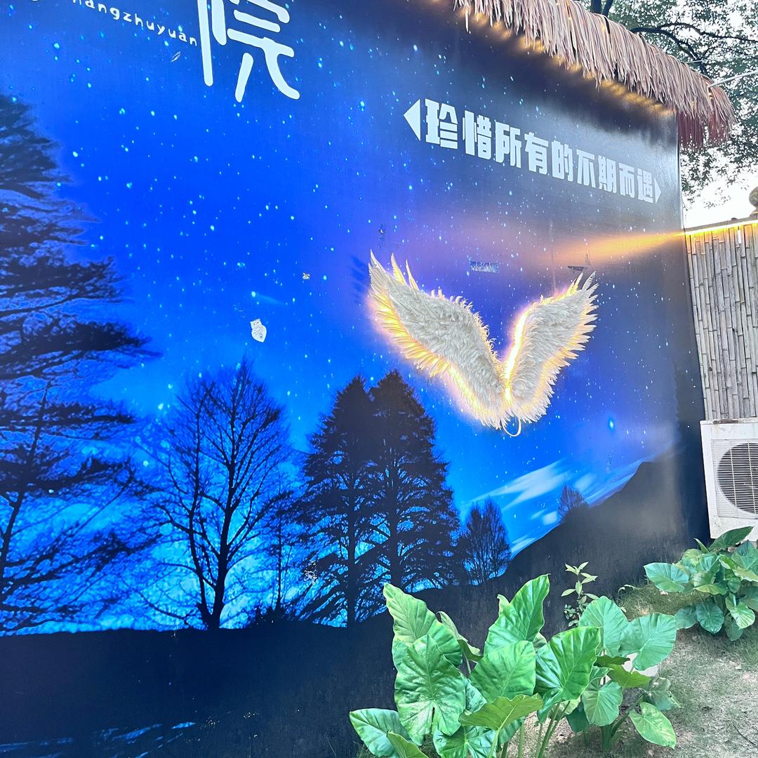 🍺🍺迟早是富婆