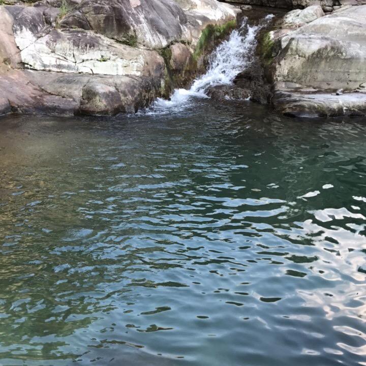老歪