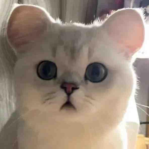 装修喵