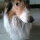 用户7578287314846老三