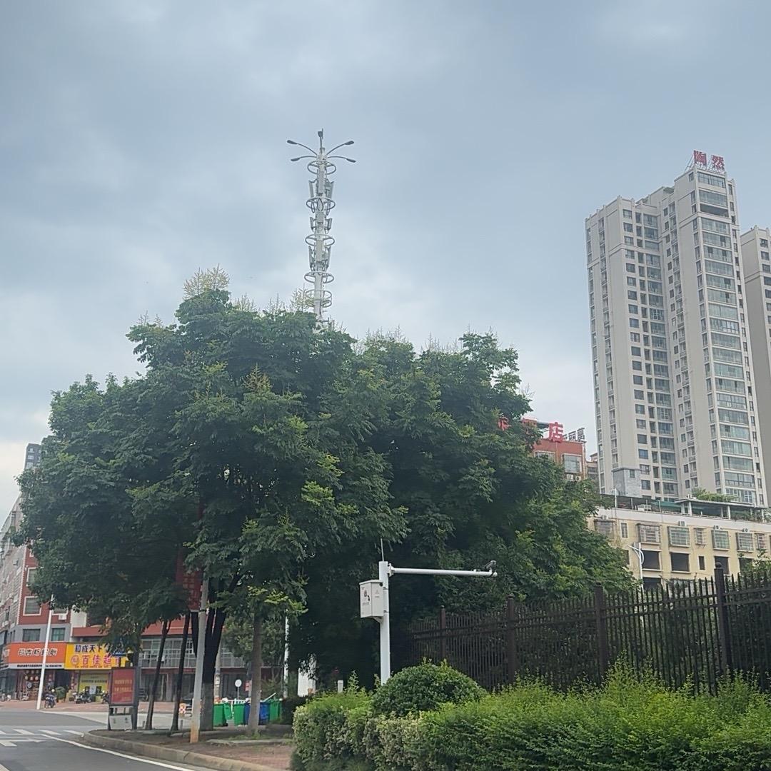 璐璐黎明明