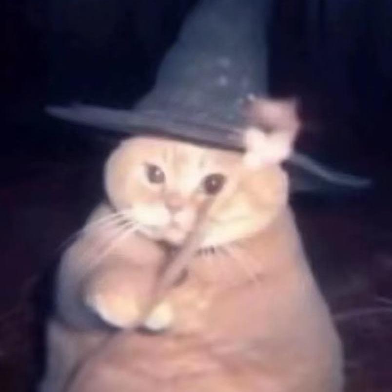 魔法变异小猫
