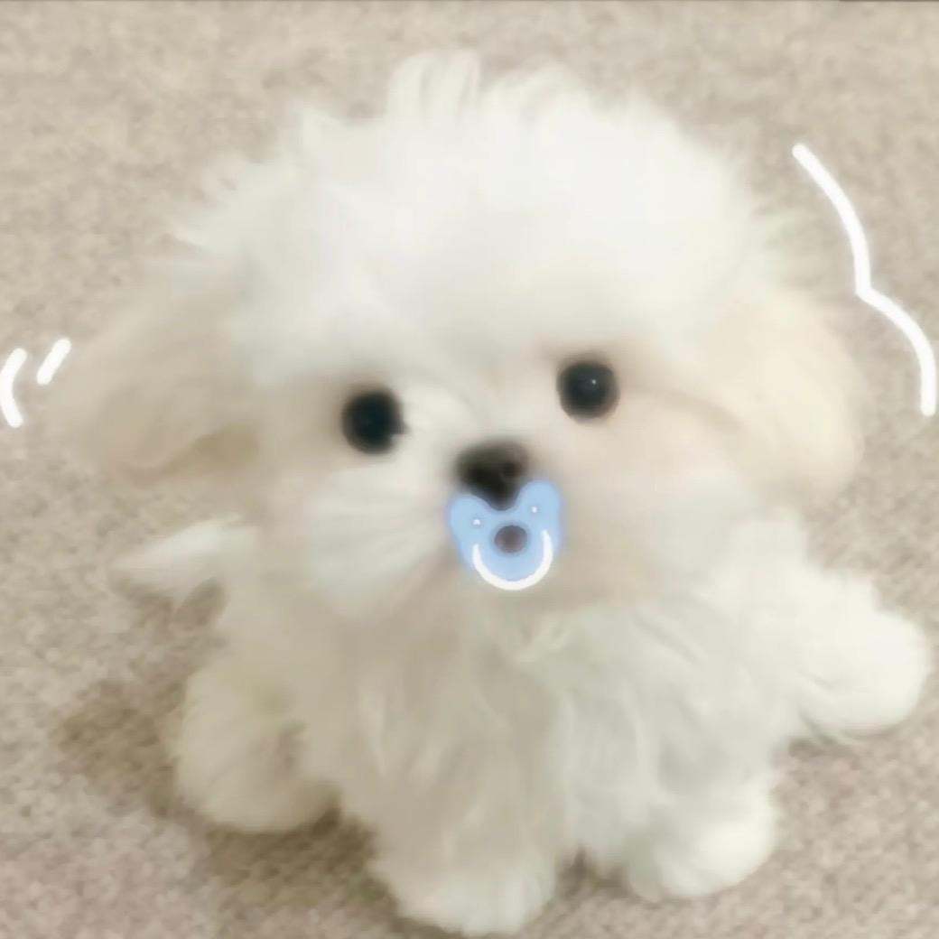 我有病别惹我