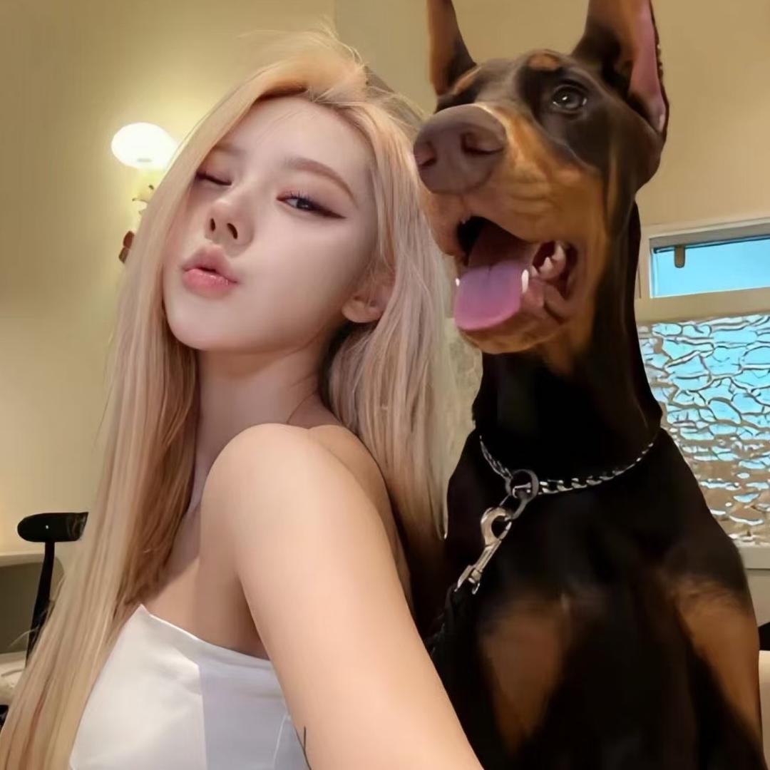 -可鑫儿(发财版)