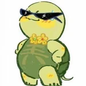 (籽料在芬丝裙)黑客k2