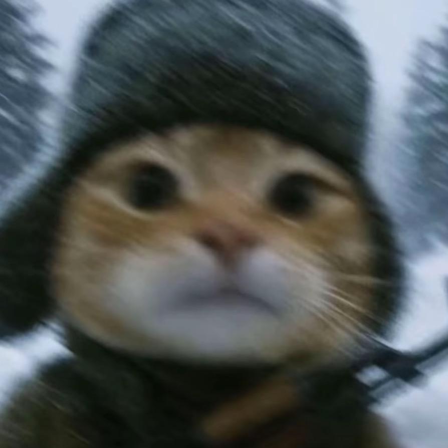 树懒夫人（三角洲行动）