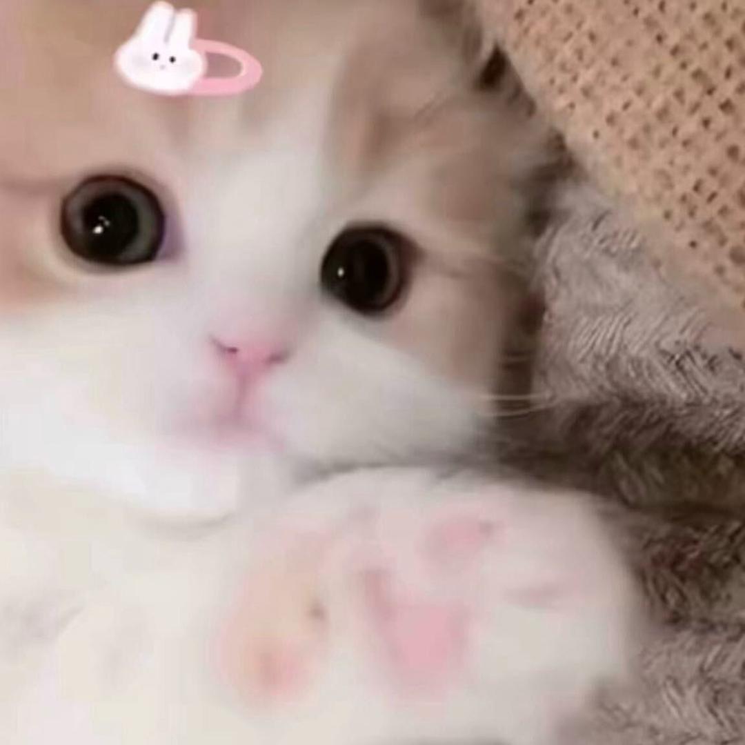 泡泡芙u