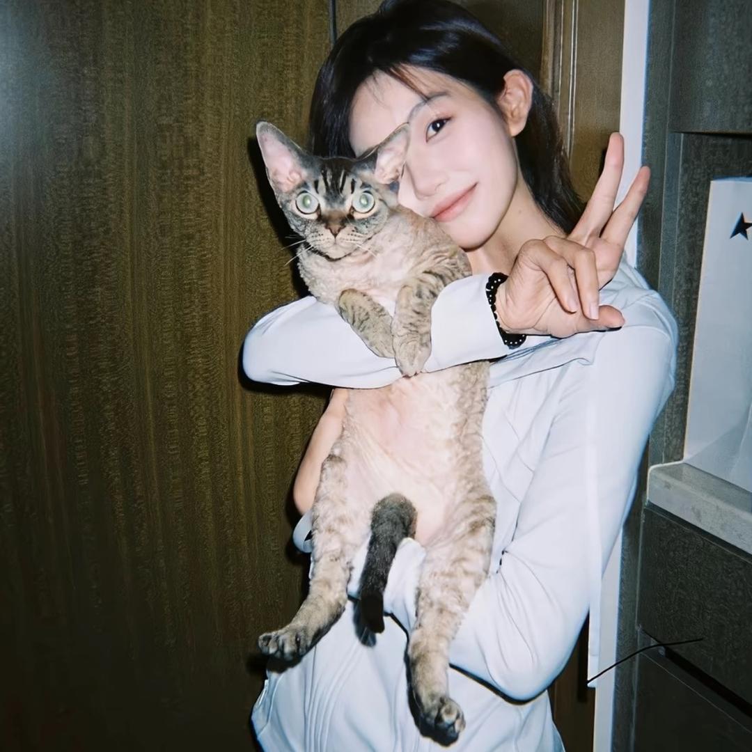 : 泡҈҉҈҉҈҉҈҉҈҉҈҉