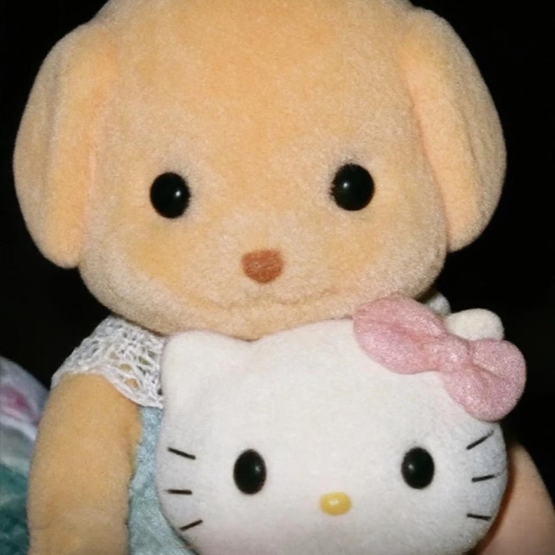 judy bb¥