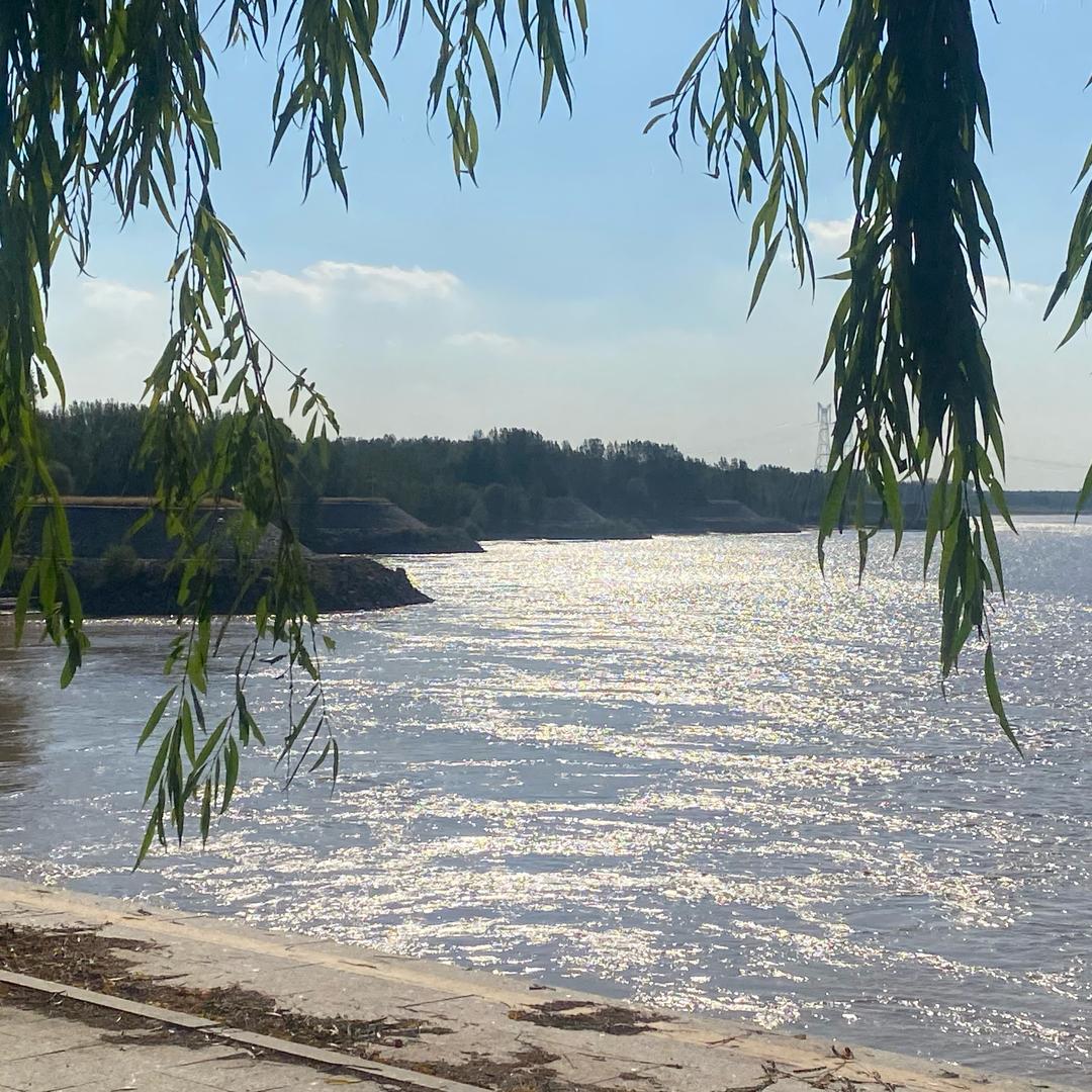 东营金融张经理