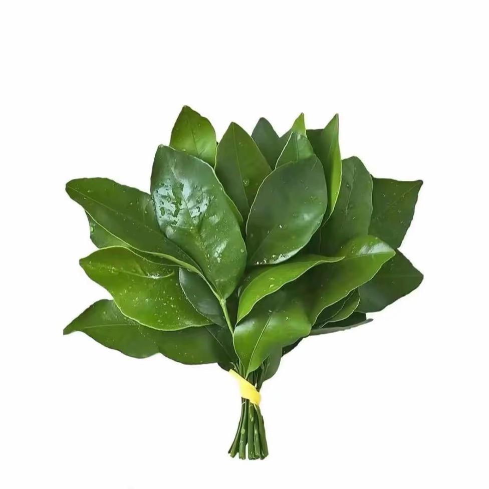 叫我旋旋
