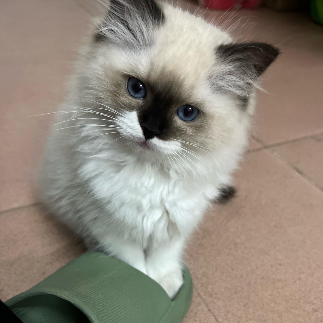 💋婷婷吖