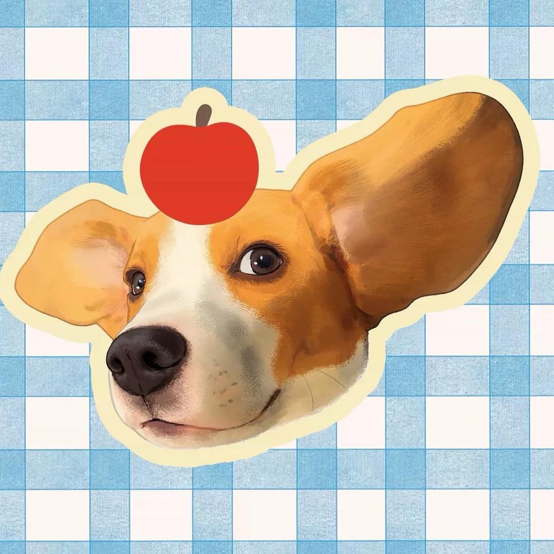 Dollar与Rex的小狗日记