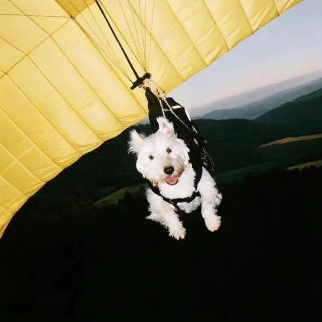 душа