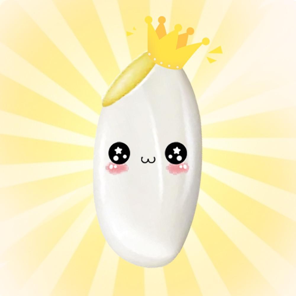 米中黄金小胚芽