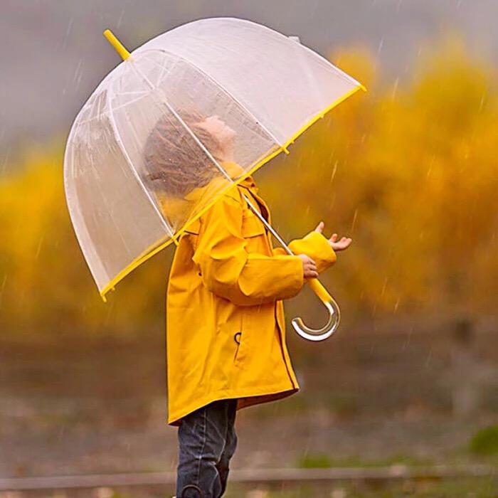 💵钞票好多张女士