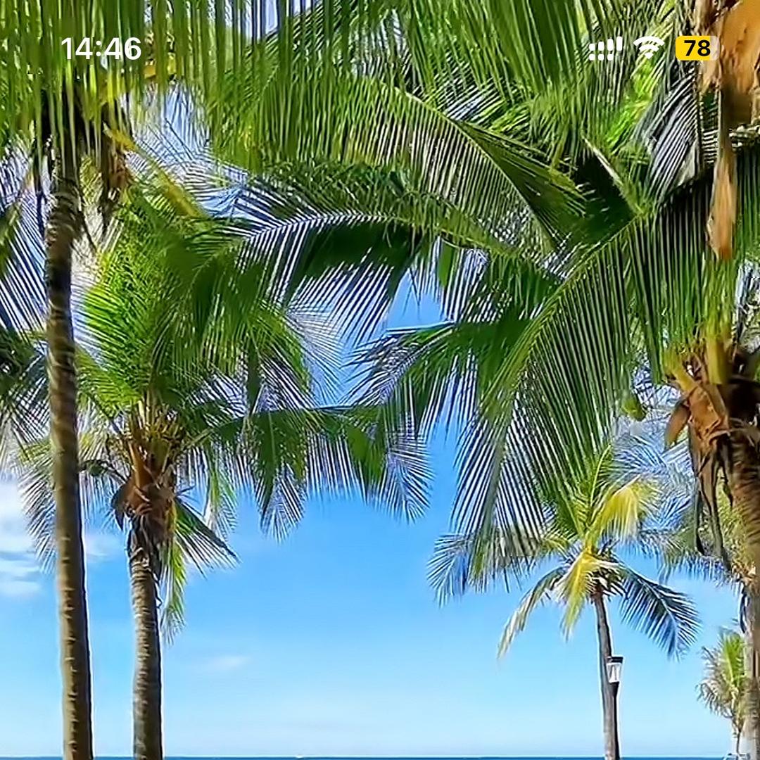 领汇润优选