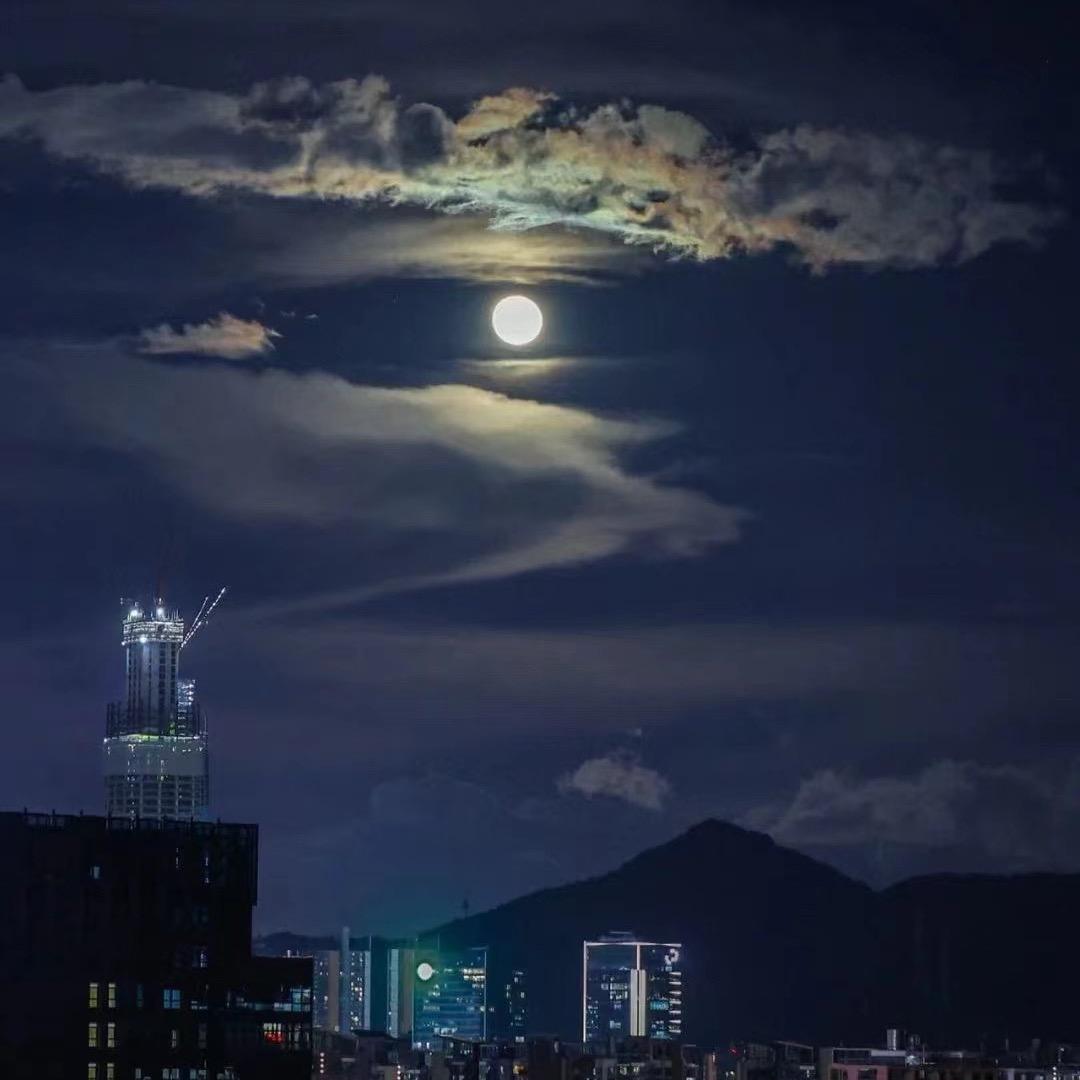 观🌙羽白