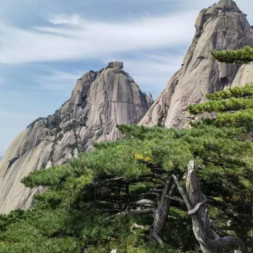 青山居士（感恩相遇）