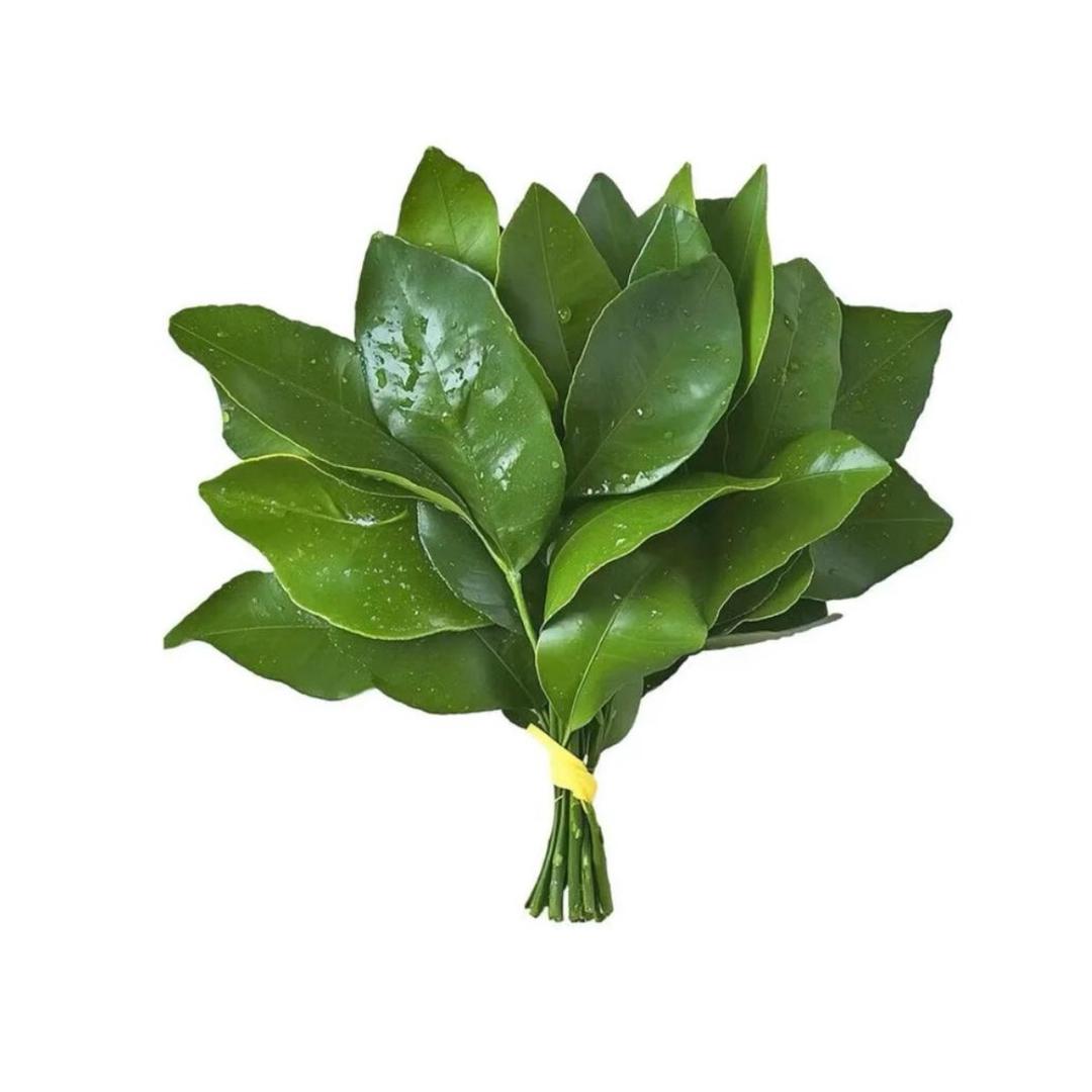 柚子叶
