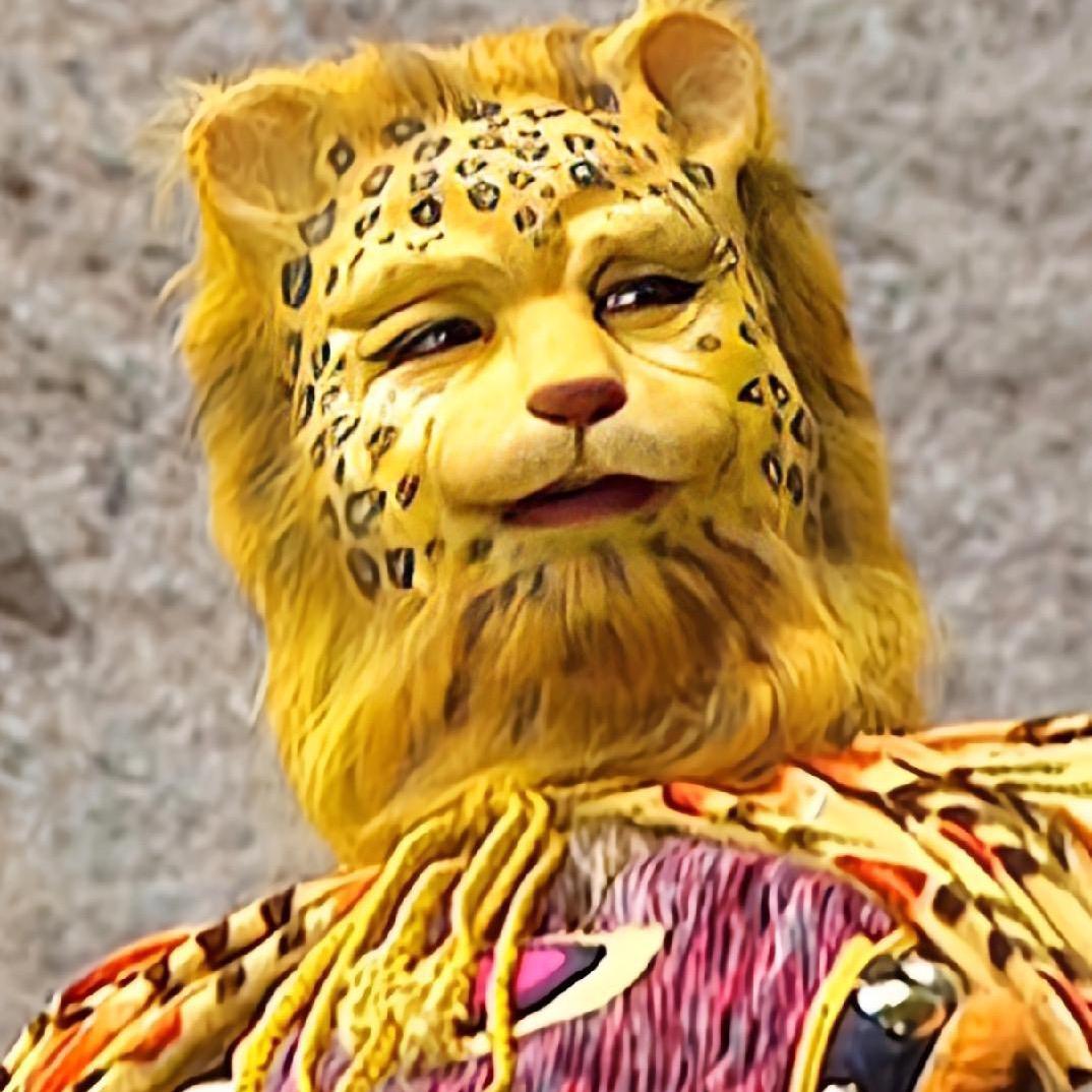 金钱豹🐯🐯